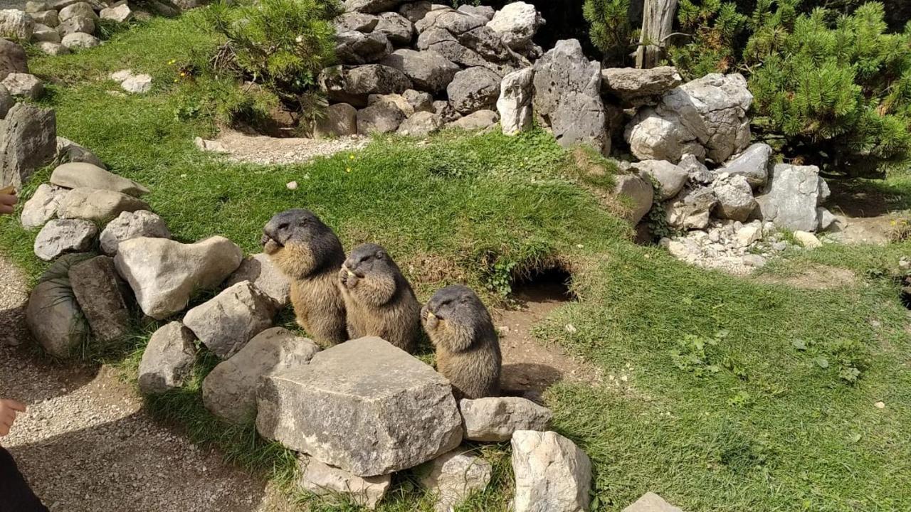 Ferienwohnung Maria-Wies Schönau am Königssee Eksteriør billede